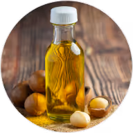 Chilean Hazelnut