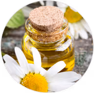 Meadowfoam Oil